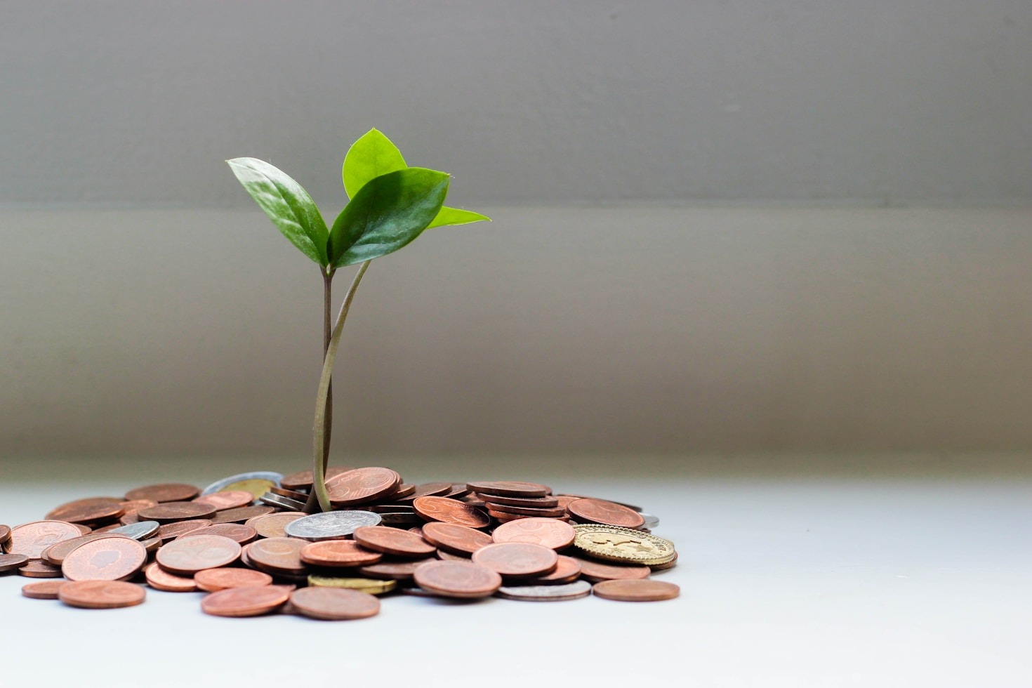10 Tips for Smarter Investments in Indonesia